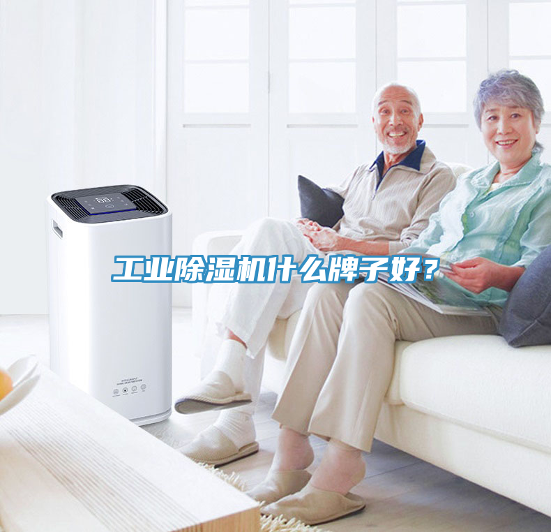 工業(yè)除濕機(jī)什么牌子好？