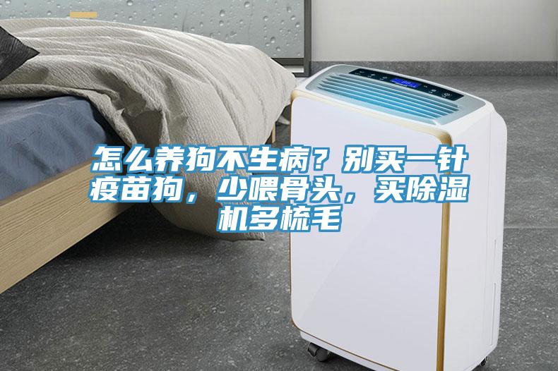 怎么養(yǎng)狗不生病？別買一針疫苗狗，少喂骨頭，買除濕機(jī)多梳毛