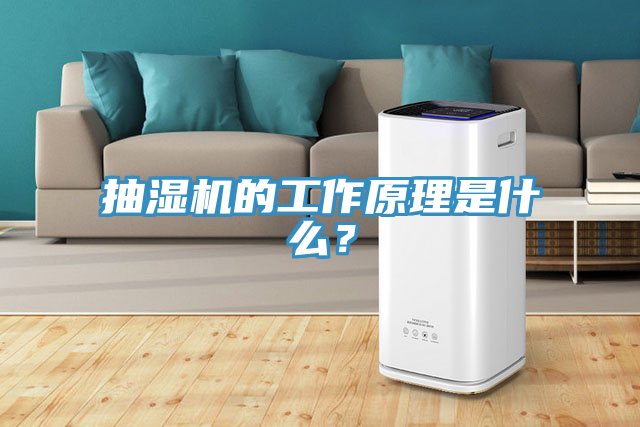 抽濕機(jī)的工作原理是什么？