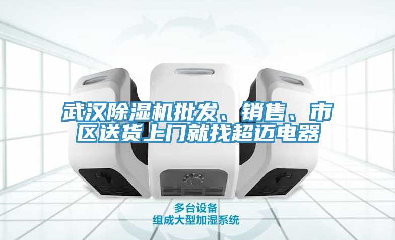 武漢除濕機(jī)批發(fā)、銷售、市區(qū)送貨上門就找超邁電器