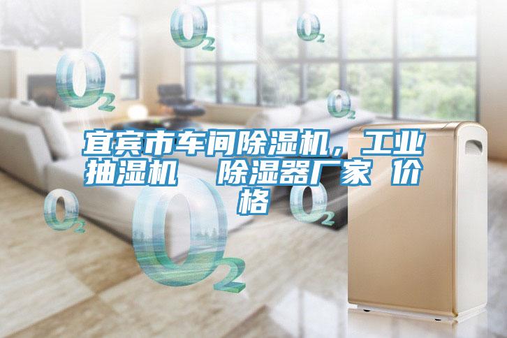 宜賓市車間除濕機(jī)，工業(yè)抽濕機(jī)  除濕器廠家 價(jià)格