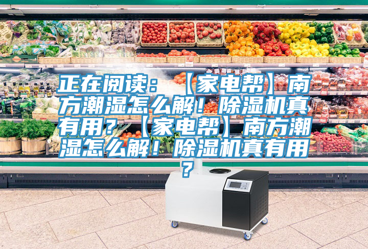 正在閱讀：【家電幫】南方潮濕怎么解！除濕機真有用？【家電幫】南方潮濕怎么解！除濕機真有用？