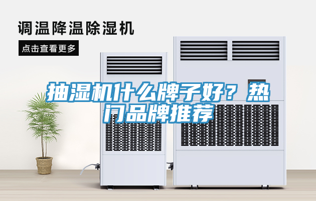 抽濕機什么牌子好？熱門品牌推薦