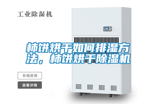 柿餅烘干如何排濕方法，柿餅烘干除濕機