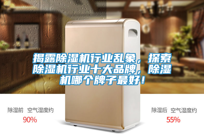 揭露除濕機(jī)行業(yè)亂象，探索除濕機(jī)行業(yè)十大品牌，除濕機(jī)哪個(gè)牌子最好！