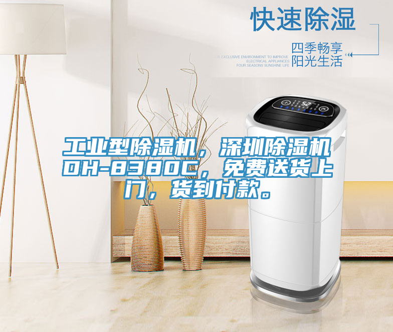 工業(yè)型除濕機(jī)，深圳除濕機(jī)DH-8380C，免費(fèi)送貨上門，貨到付款。
