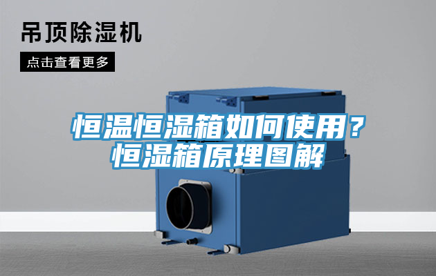 恒溫恒濕箱如何使用？恒濕箱原理圖解