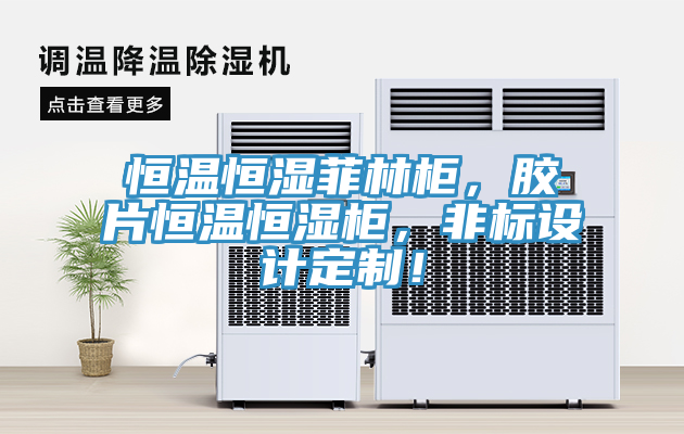 恒溫恒濕菲林柜，膠片恒溫恒濕柜，非標(biāo)設(shè)計(jì)定制！