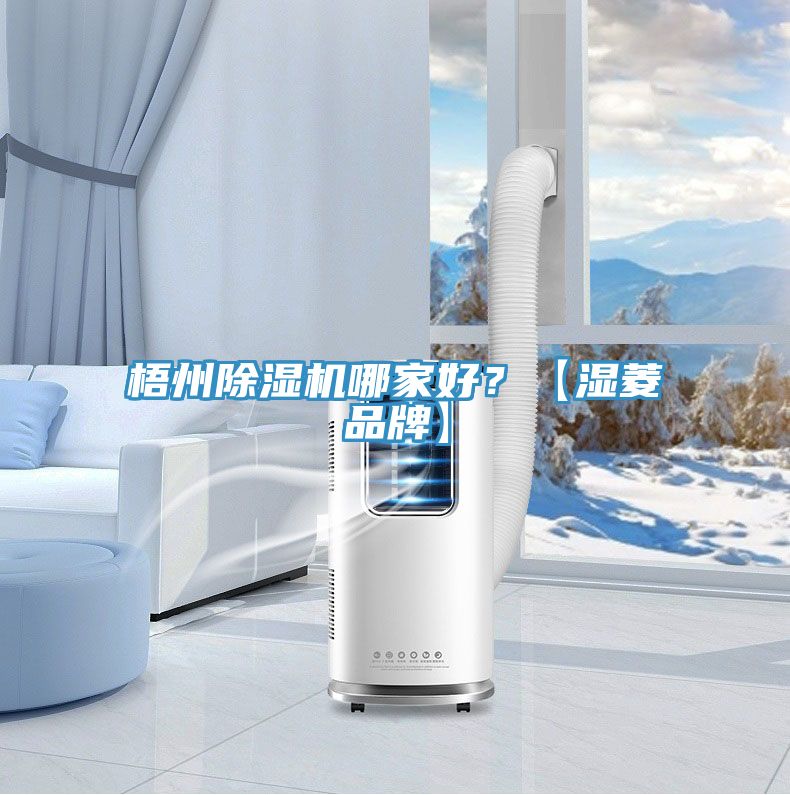 梧州除濕機(jī)哪家好？【濕菱品牌】