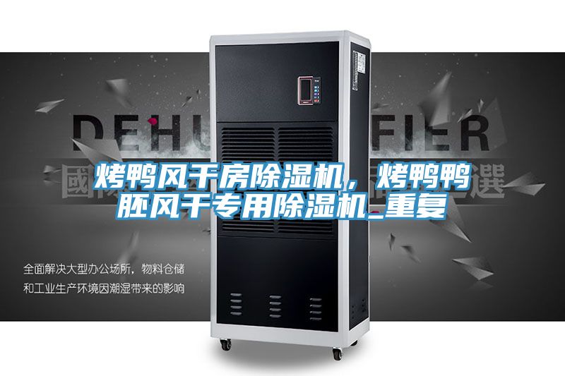 烤鴨風(fēng)干房除濕機(jī)，烤鴨鴨胚風(fēng)干專用除濕機(jī)_重復(fù)
