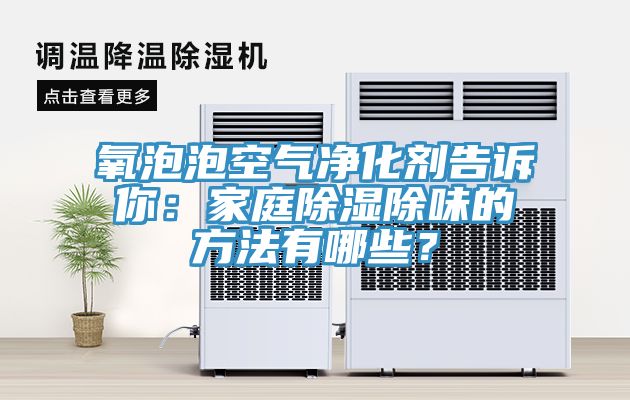 氧泡泡空氣凈化劑告訴你：家庭除濕除味的方法有哪些？