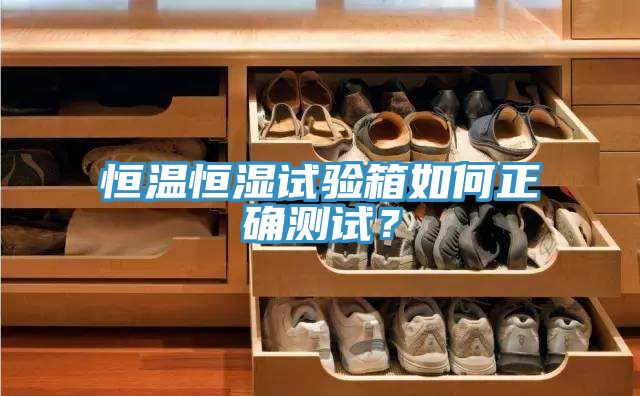 恒溫恒濕試驗(yàn)箱如何正確測試？