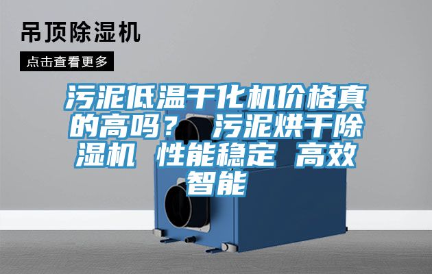 污泥低溫干化機(jī)價(jià)格真的高嗎？ 污泥烘干除濕機(jī) 性能穩(wěn)定 高效智能