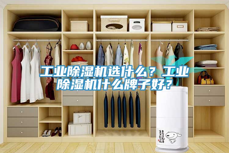 工業(yè)除濕機選什么？工業(yè)除濕機什么牌子好？