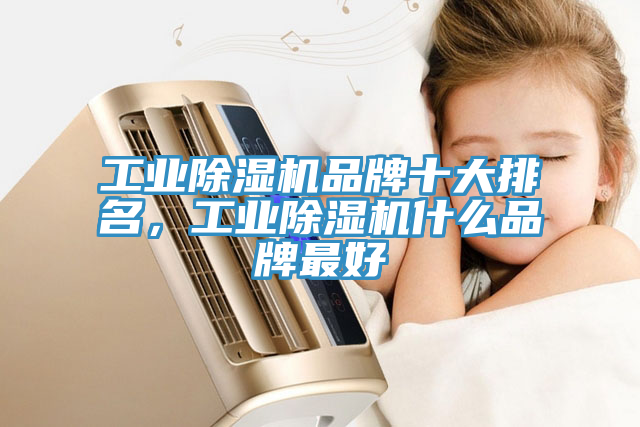 工業(yè)除濕機(jī)品牌十大排名，工業(yè)除濕機(jī)什么品牌最好