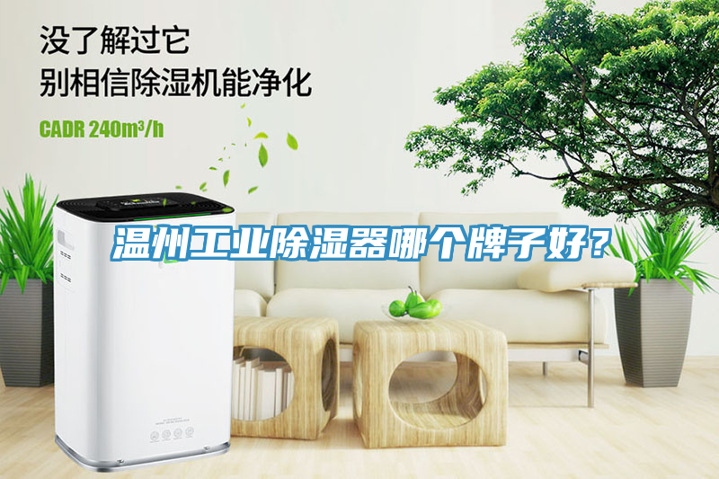 溫州工業(yè)除濕器哪個(gè)牌子好？