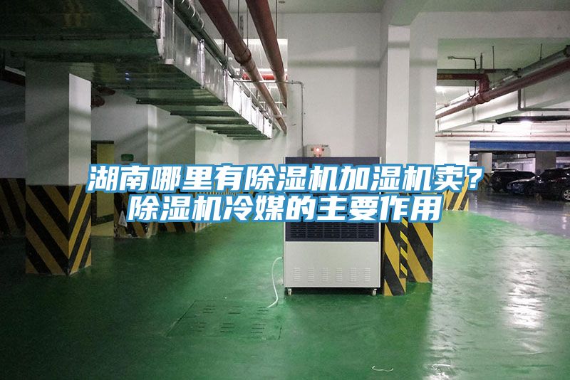 湖南哪里有除濕機(jī)加濕機(jī)賣？除濕機(jī)冷媒的主要作用