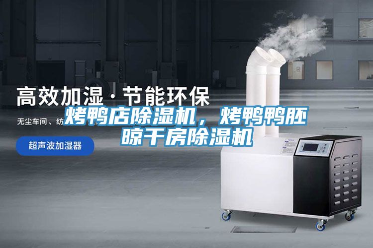 烤鴨店除濕機(jī)，烤鴨鴨胚晾干房除濕機(jī)