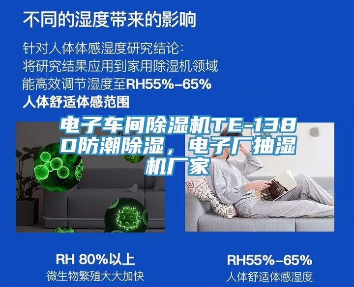 電子車間除濕機TE-138D防潮除濕，電子廠抽濕機廠家