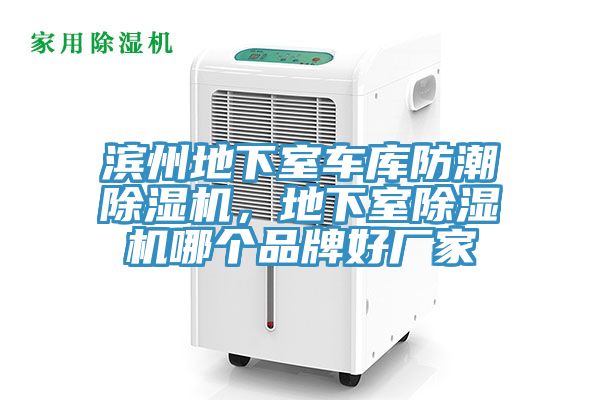 濱州地下室車庫防潮除濕機，地下室除濕機哪個品牌好廠家