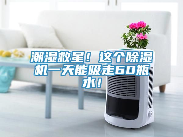 潮濕救星！這個(gè)除濕機(jī)一天能吸走60瓶水！