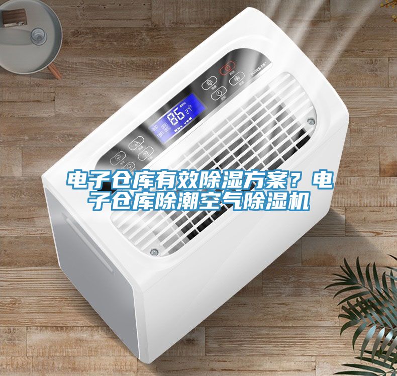 電子倉庫有效除濕方案？電子倉庫除潮空氣除濕機(jī)