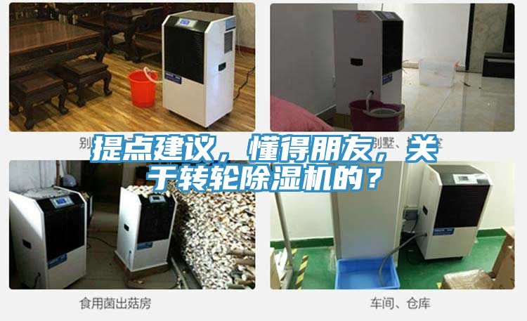 提點(diǎn)建議，懂得朋友，關(guān)于轉(zhuǎn)輪除濕機(jī)的？