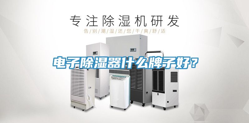 電子除濕器什么牌子好？