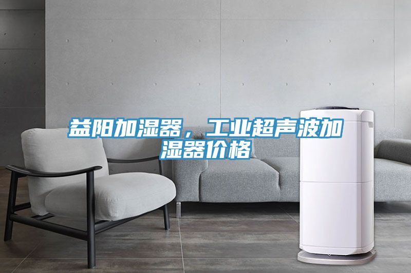 益陽加濕器，工業(yè)超聲波加濕器價格