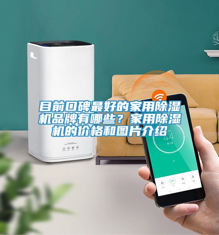 目前口碑最好的家用除濕機品牌有哪些？家用除濕機的價格和圖片介紹