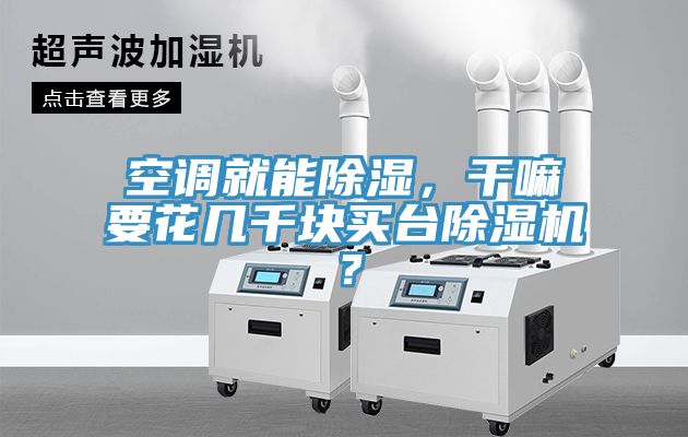 空調(diào)就能除濕，干嘛要花幾千塊買臺除濕機(jī)？