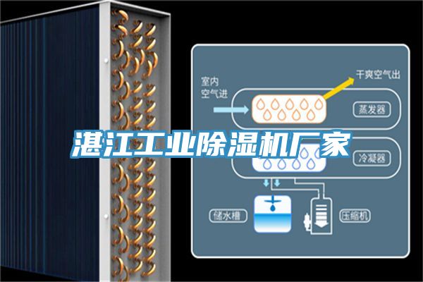 湛江工業(yè)除濕機(jī)廠(chǎng)家