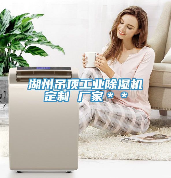 湖州吊頂工業(yè)除濕機(jī)定制 廠(chǎng)家＊＊