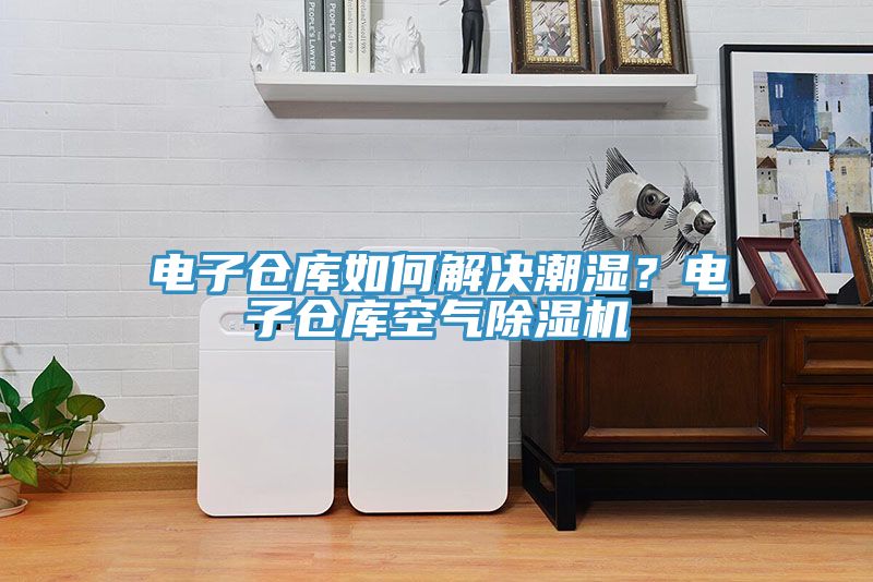 電子倉庫如何解決潮濕？電子倉庫空氣除濕機(jī)