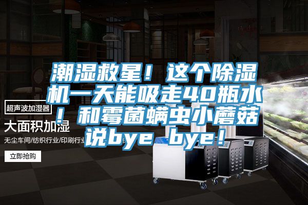 潮濕救星！這個(gè)除濕機(jī)一天能吸走40瓶水！和霉菌螨蟲小蘑菇說bye bye！