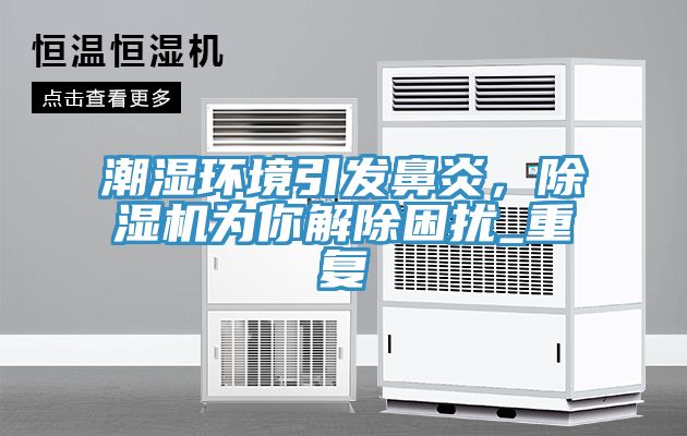 潮濕環(huán)境引發(fā)鼻炎，除濕機(jī)為你解除困擾_重復(fù)