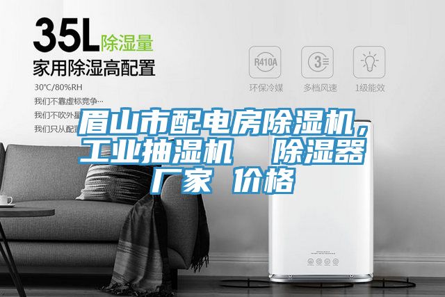 眉山市配電房除濕機，工業(yè)抽濕機  除濕器廠家 價格