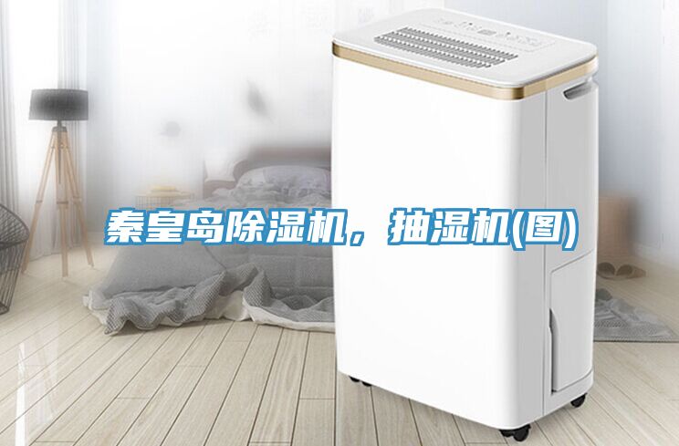 秦皇島除濕機(jī)，抽濕機(jī)(圖)