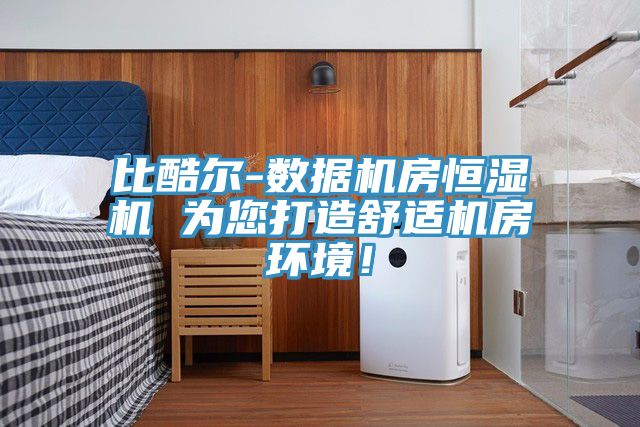 比酷爾-數(shù)據(jù)機(jī)房恒濕機(jī) 為您打造舒適機(jī)房環(huán)境！