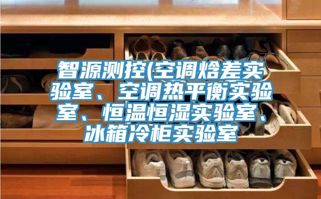 智源測控(空調(diào)焓差實驗室、空調(diào)熱平衡實驗室、恒溫恒濕實驗室、冰箱冷柜實驗室