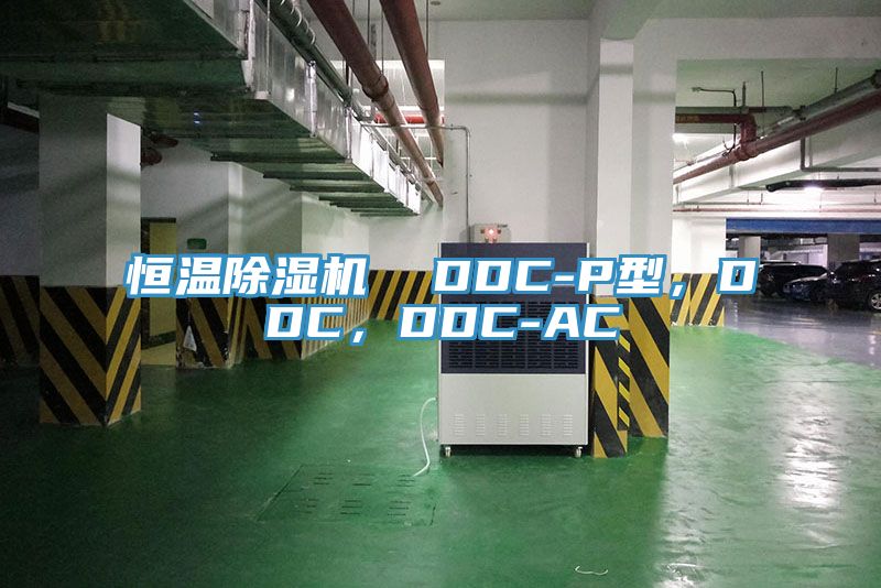 恒溫除濕機(jī)  DDC-P型，DDC，DDC-AC