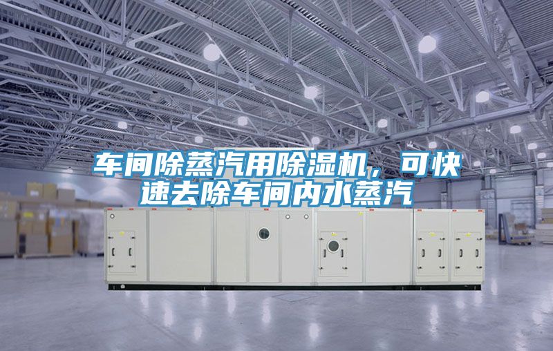 車間除蒸汽用除濕機，可快速去除車間內(nèi)水蒸汽