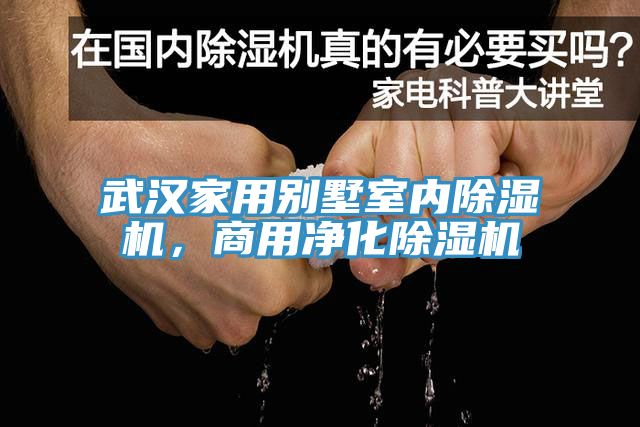 武漢家用別墅室內(nèi)除濕機(jī)，商用凈化除濕機(jī)