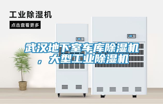 武漢地下室車庫(kù)除濕機(jī)，大型工業(yè)除濕機(jī)