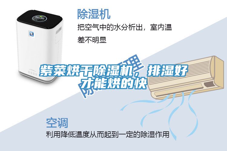 紫菜烘干除濕機(jī)，排濕好才能烘的快