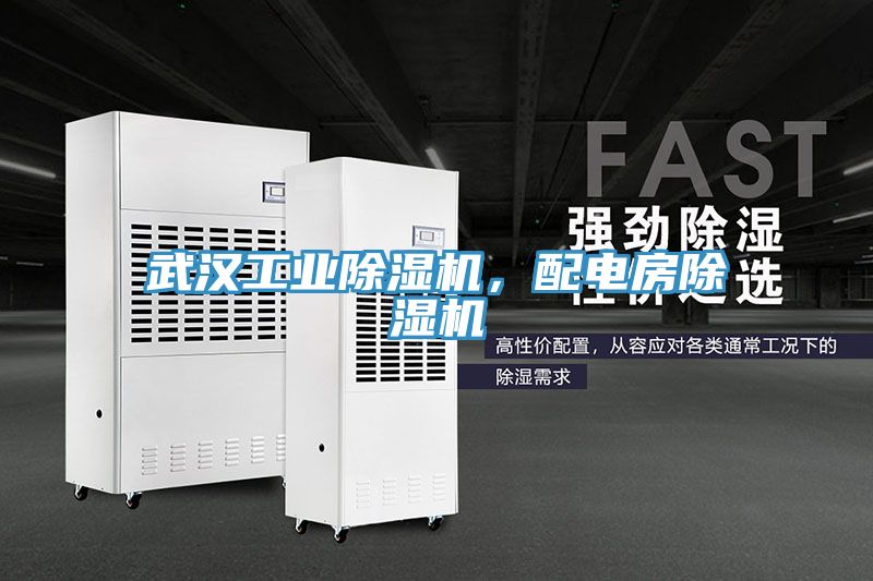 武漢工業(yè)除濕機(jī)，配電房除濕機(jī)