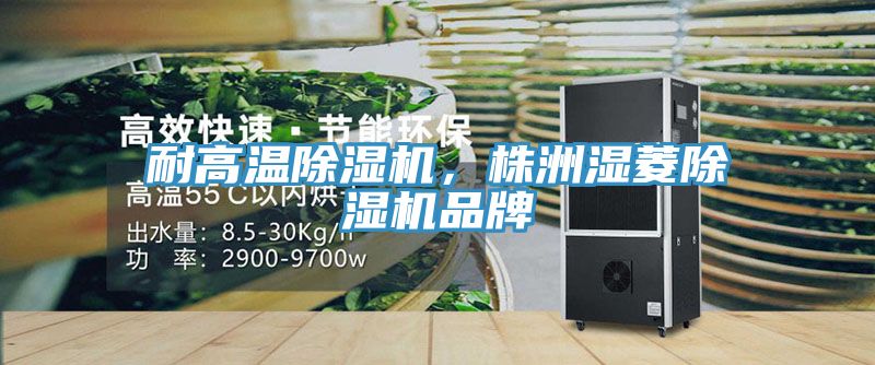 耐高溫除濕機，株洲濕菱除濕機品牌