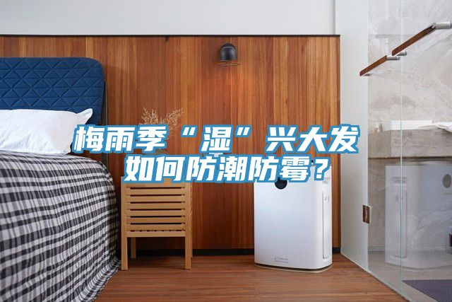 梅雨季“濕”興大發(fā) 如何防潮防霉？