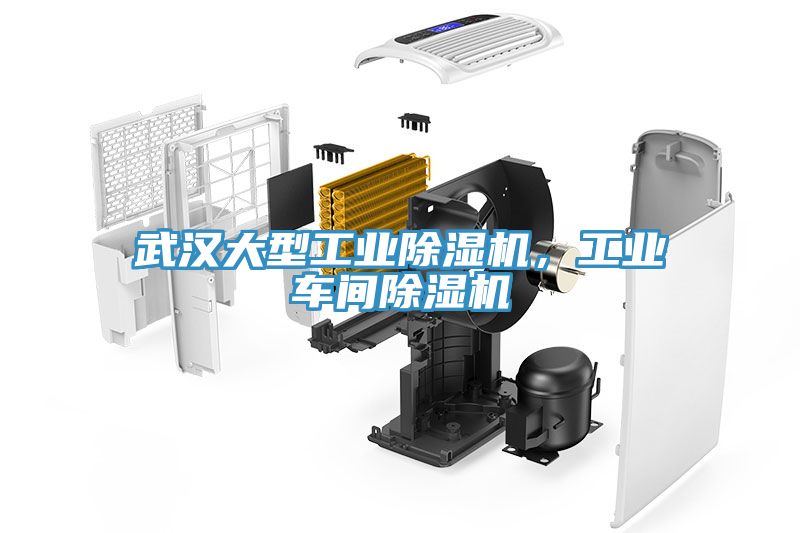 武漢大型工業(yè)除濕機(jī)，工業(yè)車間除濕機(jī)