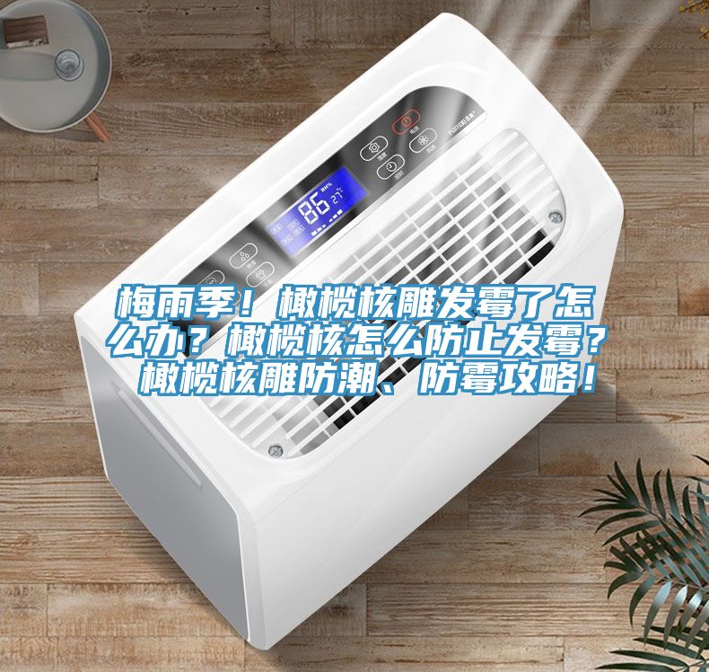 梅雨季！橄欖核雕發(fā)霉了怎么辦？橄欖核怎么防止發(fā)霉？ 橄欖核雕防潮、防霉攻略！